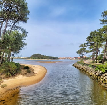 Lac Marin dans Les landes