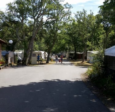 photo du camping les chênes à Vieux Boucau