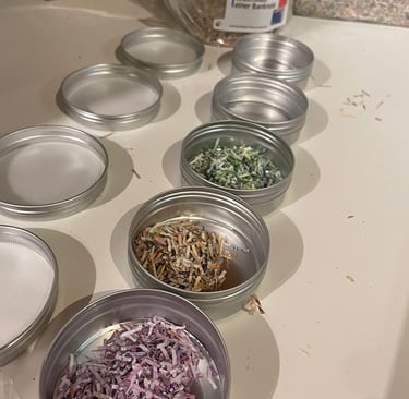 Entwertetes Bargeld / Banknoten / Euro für das Training von Banknotenspürhunden