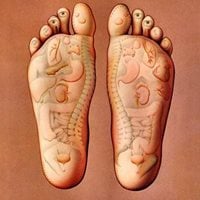 foot zone reflexology