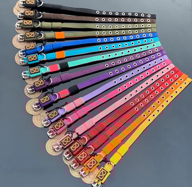 collari colorati sbt 1935