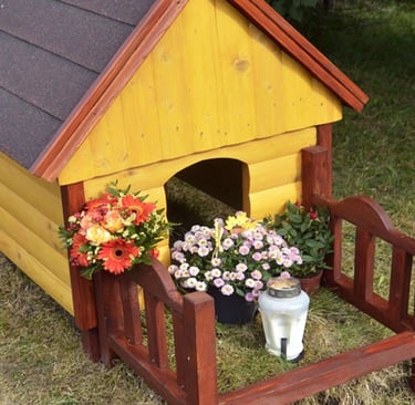 Casinha cemitério para cachorro