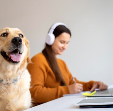 Fase na vida dos cães