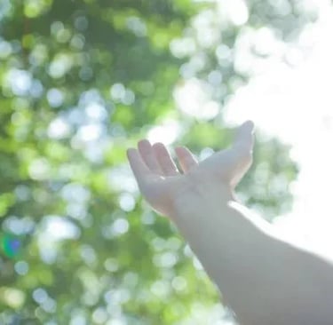 Main ouverte vers la lumière à travers les arbres, symbole d’apaisement et de reconnexion à soi en sophrologie