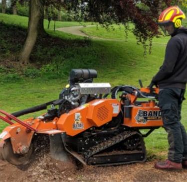 stump removal nottingham