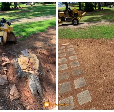 tree Stump removal Nottingham