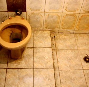 Situação do banheiro de um do alojamento de churrascaria em SP impressionou agentes do MTE.