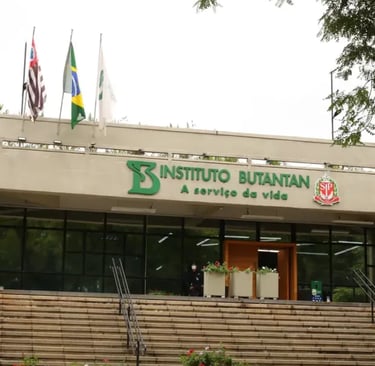 Foto: Rovena Rosa/Agência Brasil