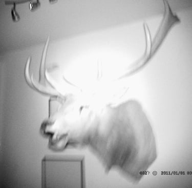 Ghost in the Shed (Terminus)