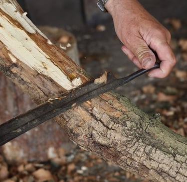 a person holding a drawknife in their hands carving bark from a branch