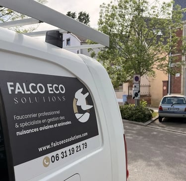 Véhicule Falco Eco Solutions mobilisé pour une intervention sur une colonie de goélands