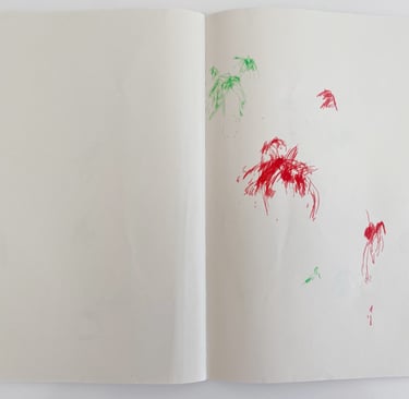 Marine Bikard Carnet d'allaitement Galerie MAxime Allain partition du dehors