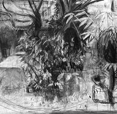 Galerie Maxime Allain Marine Bikard Partition du dehors fusain