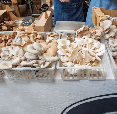 a table with a variety of mushrooms and mushrooms