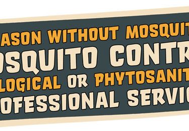 Mosquito Control Service in Villefranche sur mer