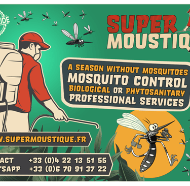 Tiger Mosquito Flyer in Nice 06