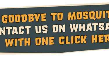 whatsapp contact banner