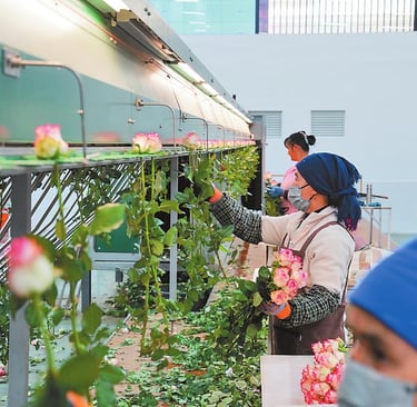 Kunming Flower market