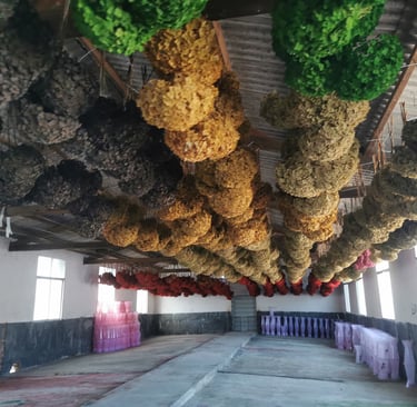 preserved flower factory