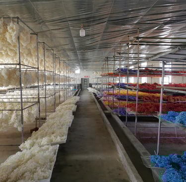 Preserved Flower Factory