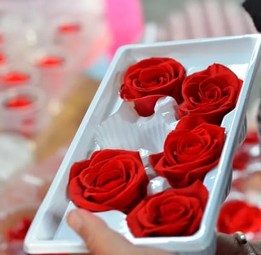 preserved rose head
