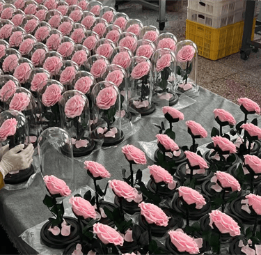 preserved flower supplier