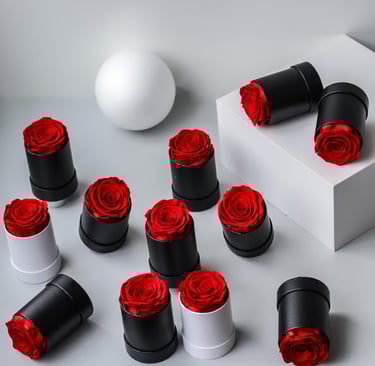 preserved rose customization