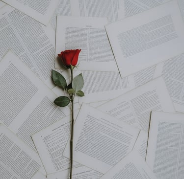 preserved rose