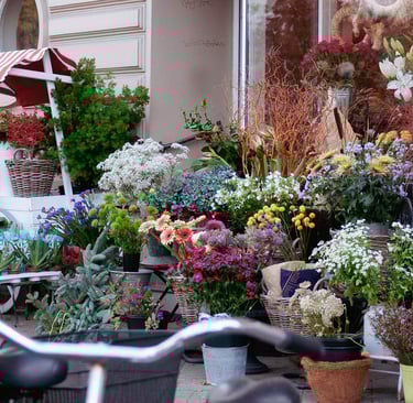 dried flower wholesale
