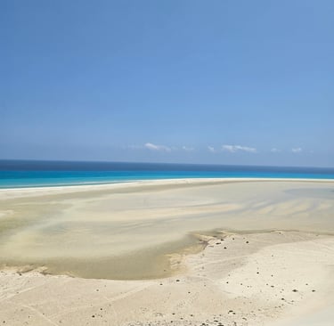 Socotra guide