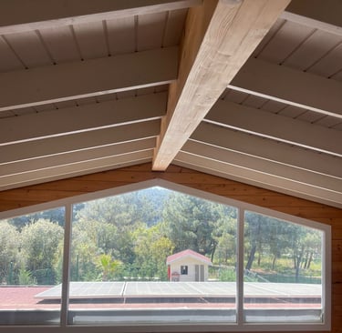 solar module in home