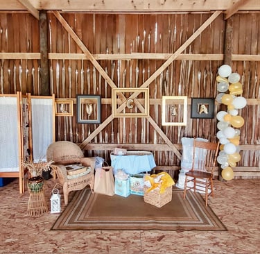 baby shower venue Galesburg Illinois