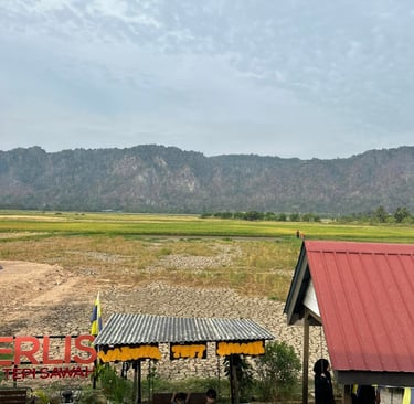 restoran tepi sawah di Perlis