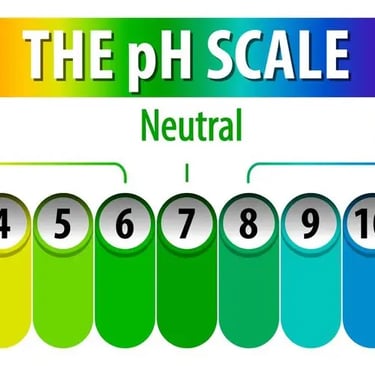 the pH scale
