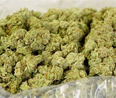 medical cannabis australia