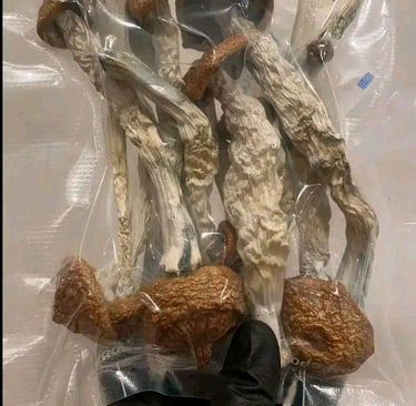 Magic Mushroom Chocolate Bars Near Me in Australia: A step-by-step tutorial