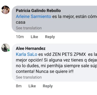 zenpets mexico hotel de perros