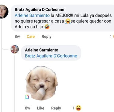 zenpets hotel para perros y gatos