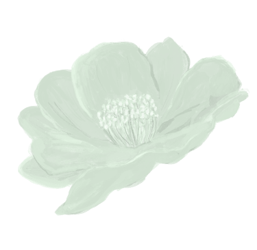 Sketched camellia in light green