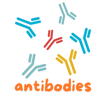 a group of colourful antibodies