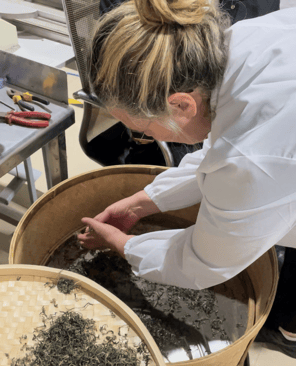 Transformation du thé - Maître de thé 