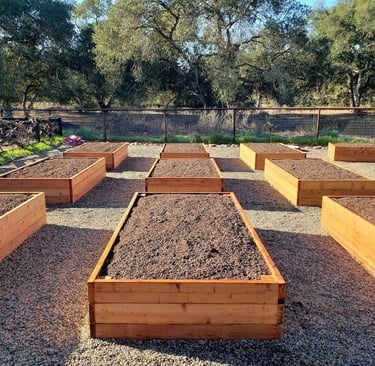 Creating vegetable beds