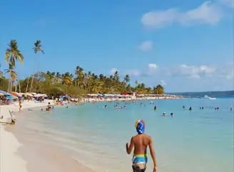 Wunderschöner Karibik-Strand mit kristallklarem Wasser und Palmen im Urlaub
