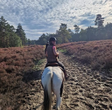 Cowgirl op haar paard door de natuur