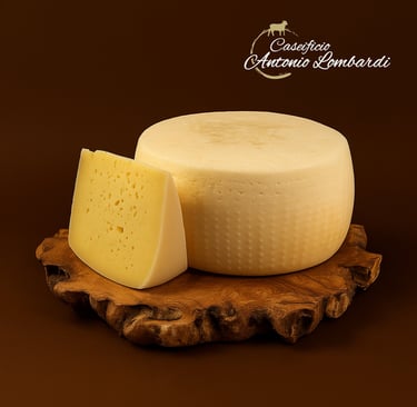 PECORINO FRESCO MANFREDONIA