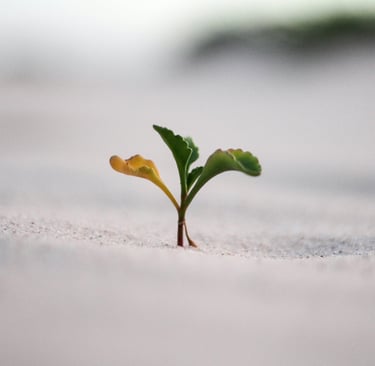 beyond burnout