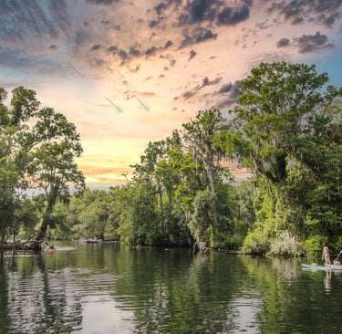 Chassahowitzka River, kayaking on the Chassahowitzka, florida's nature coast
