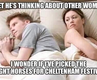 cheltenham festival funny meme