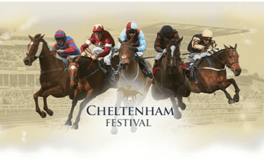 cheltenham festival free bet offers