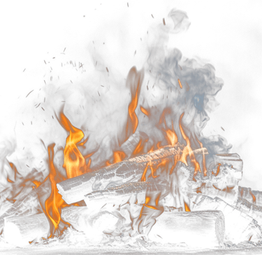 FEU AUX BOIS